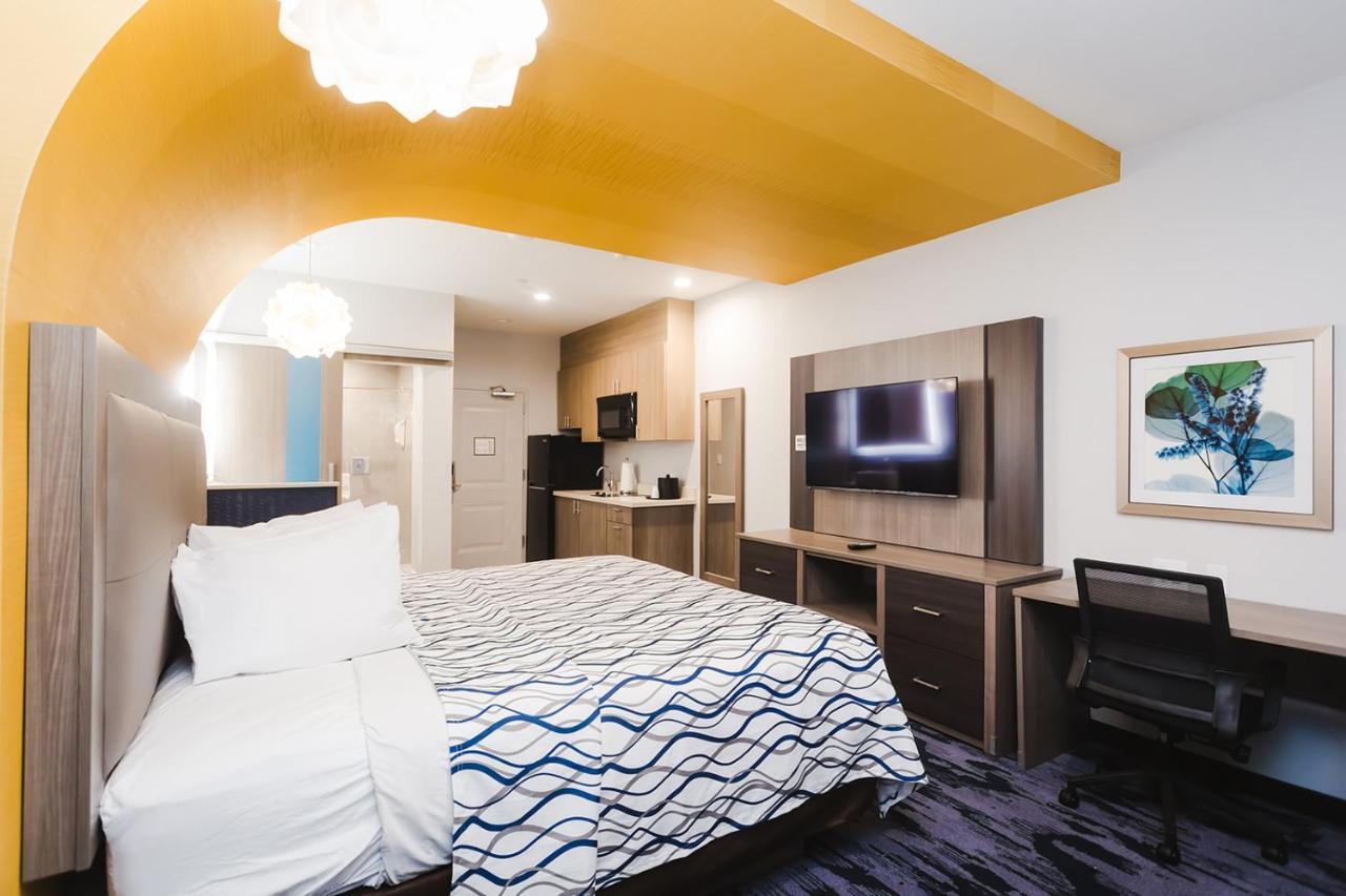 Palace Inn Blue Houston East Beltway 8 Ngoại thất bức ảnh